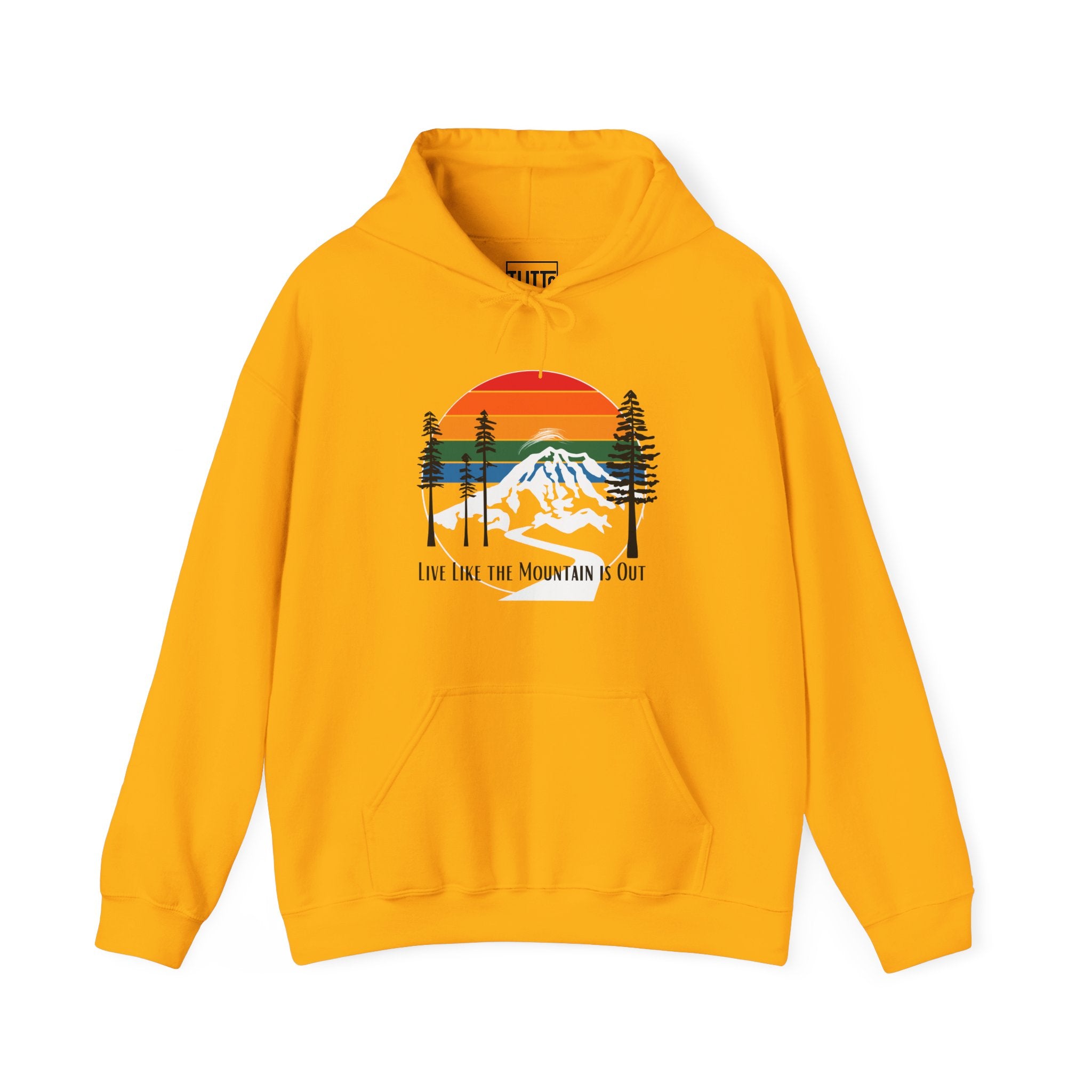 PNW- Mount Rainier Live like the Mountain is Out Hoodie