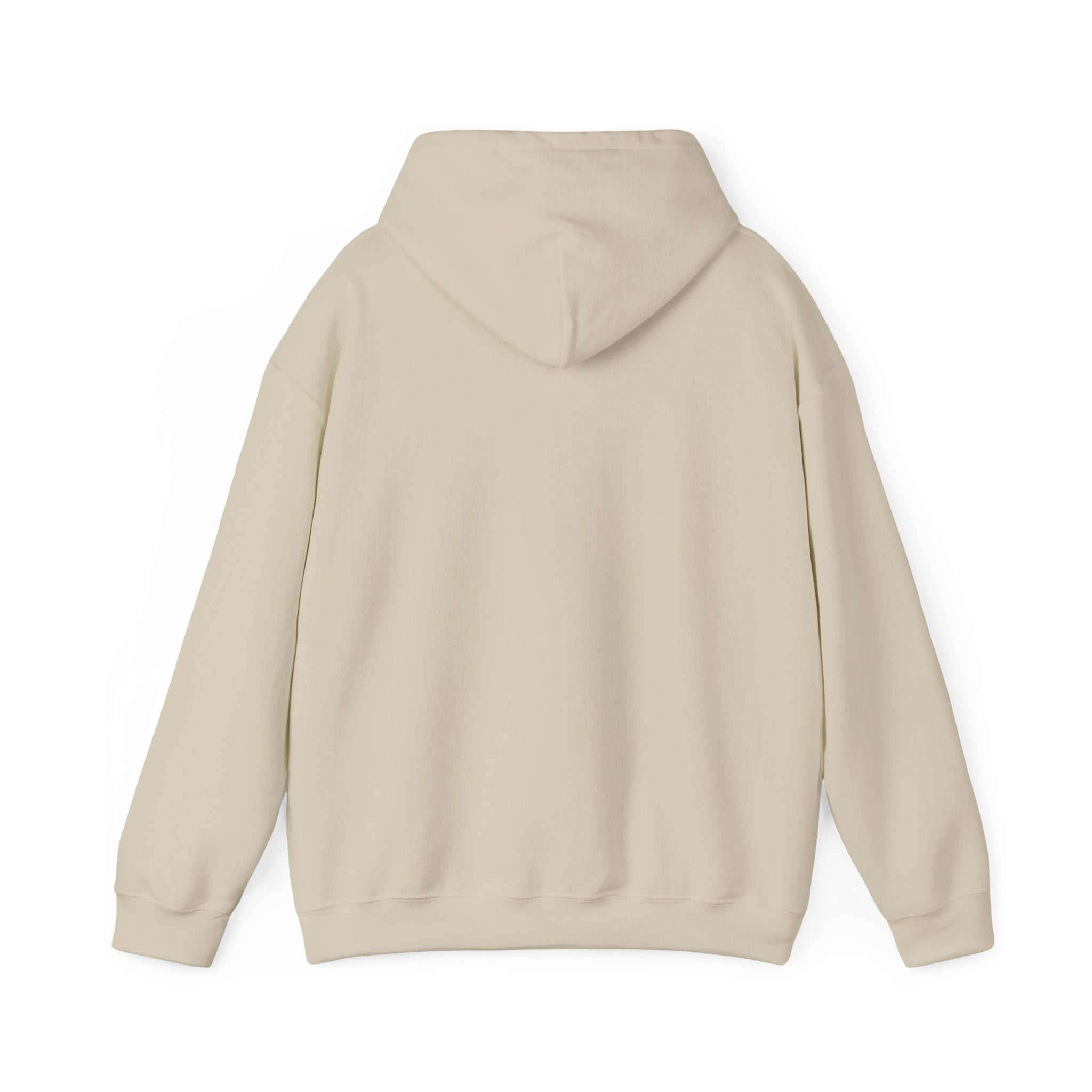 PNW- Mount Rainier Live like the Mountain is Out Hoodie