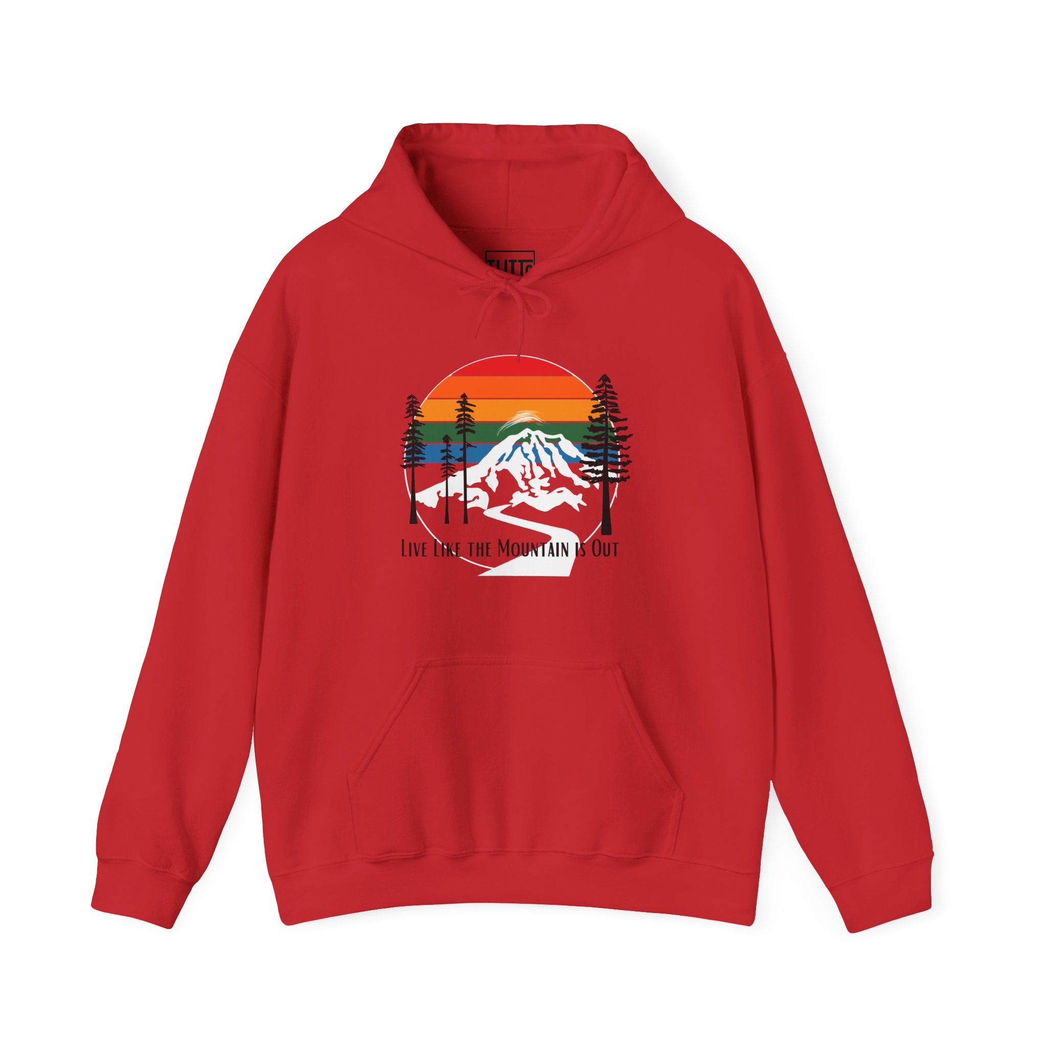 PNW- Mount Rainier Live like the Mountain is Out Hoodie