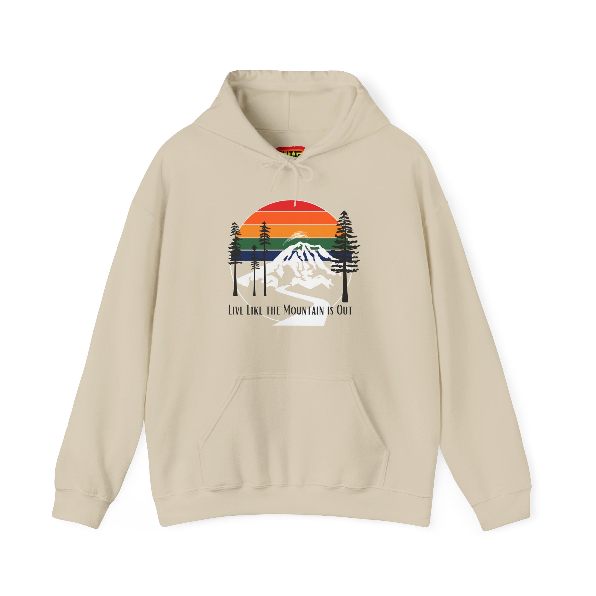 PNW- Mount Rainier Live like the Mountain is Out Hoodie