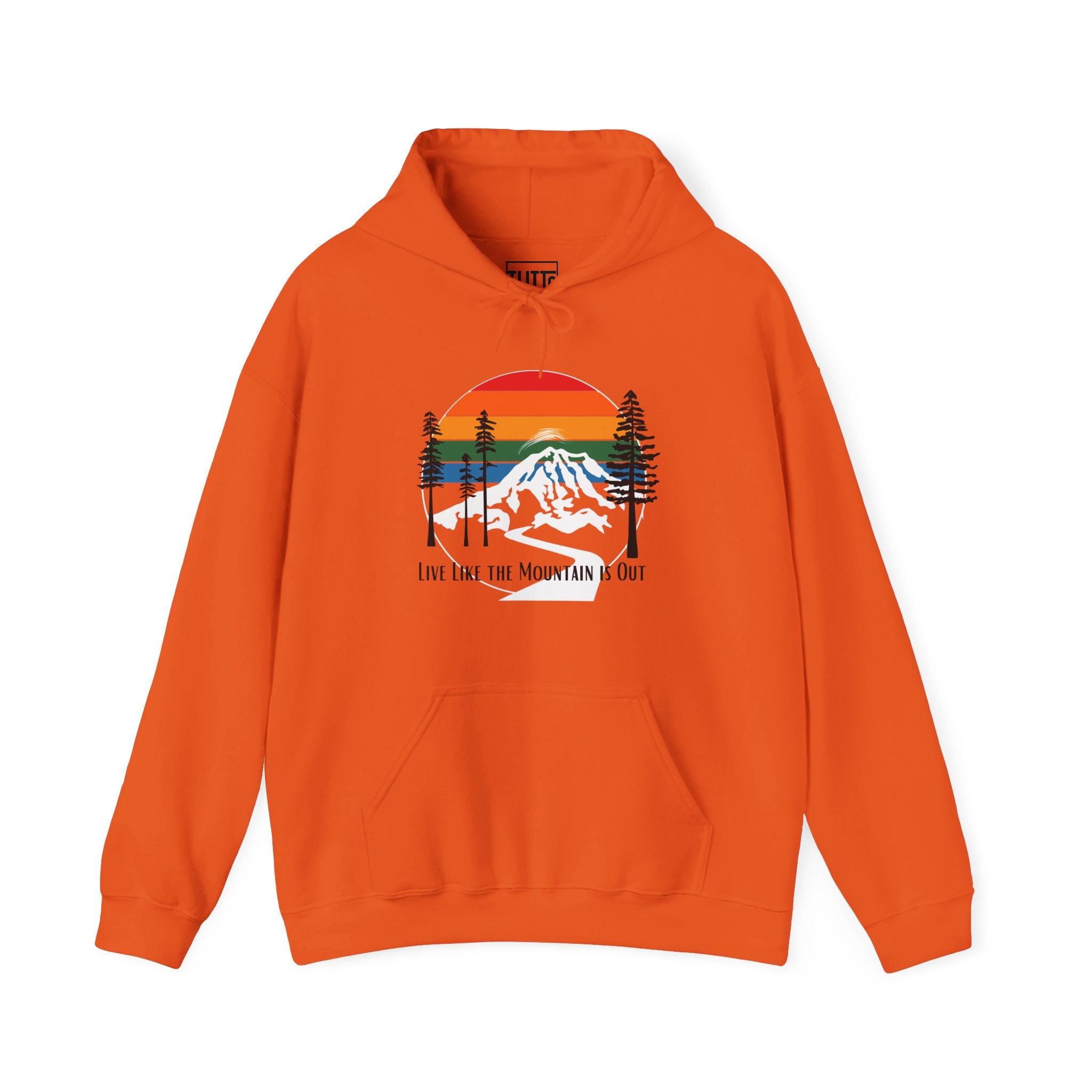PNW- Mount Rainier Live like the Mountain is Out Hoodie