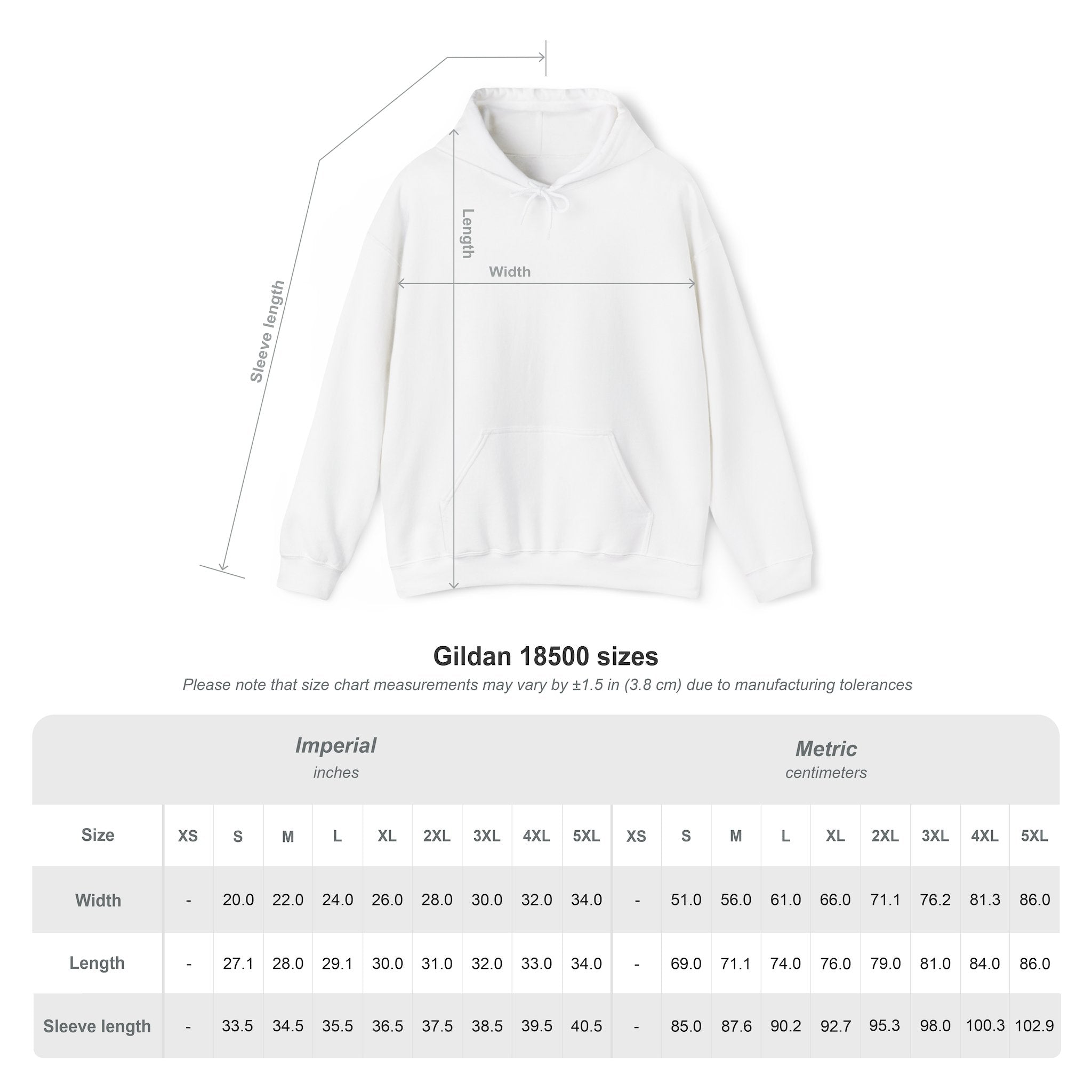 PNW- Mount Rainier Live like the Mountain is Out Hoodie