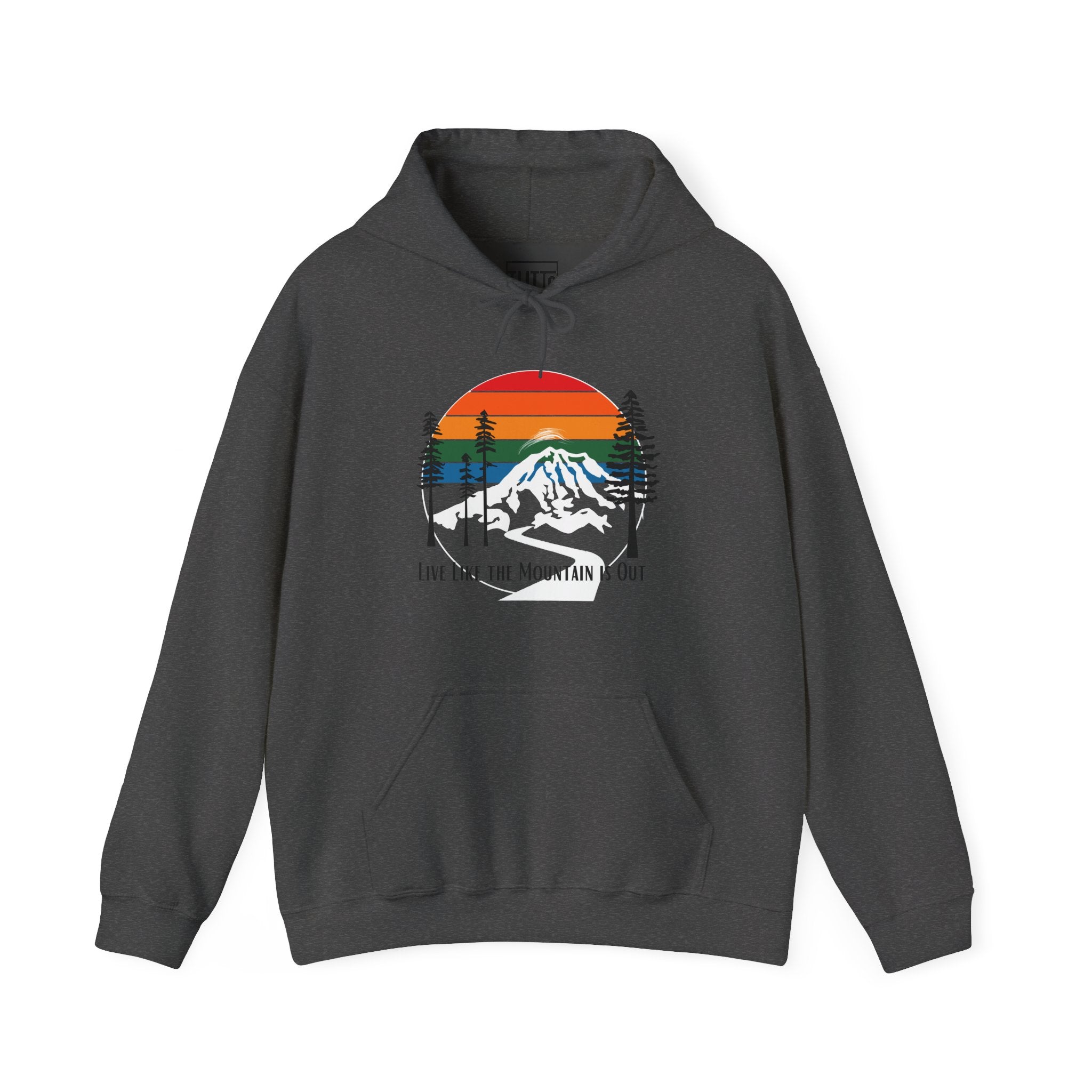 PNW- Mount Rainier Live like the Mountain is Out Hoodie
